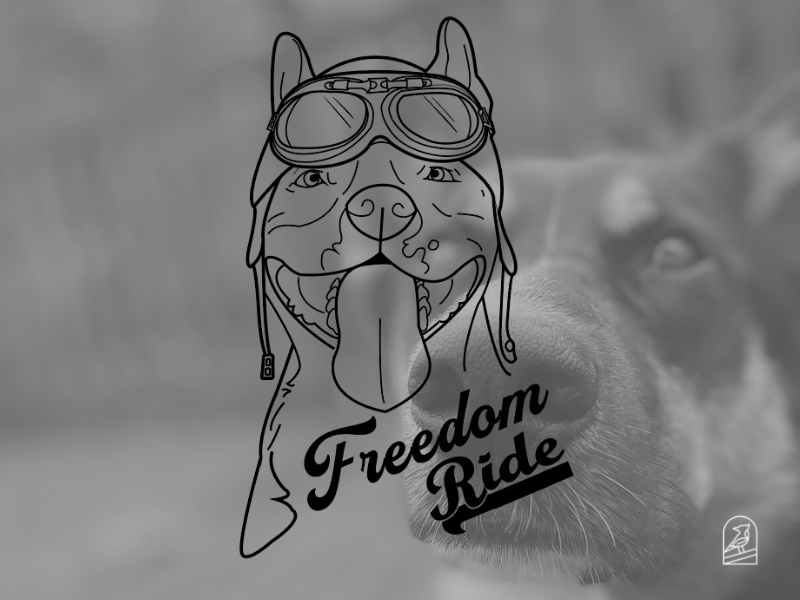 Casquette Freedom Ride - RAD